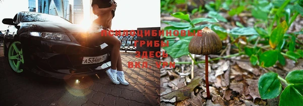 apvp Алексеевка