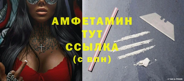 метадон Инта